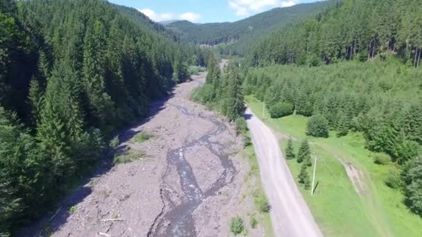 Drone volar sobre la carretera cerca de un río de montaña en el bosque — Vídeos de Stock