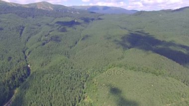 Dağlar, yaz günü ormanda. Uçuş quadrocopters