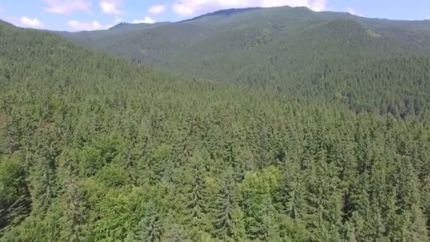 Bosque de montaña. vuelo con drones — Vídeos de Stock