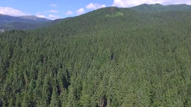 Bosque en los Cárpatos Ucranianos. quadrocopteros de vuelo — Vídeos de Stock