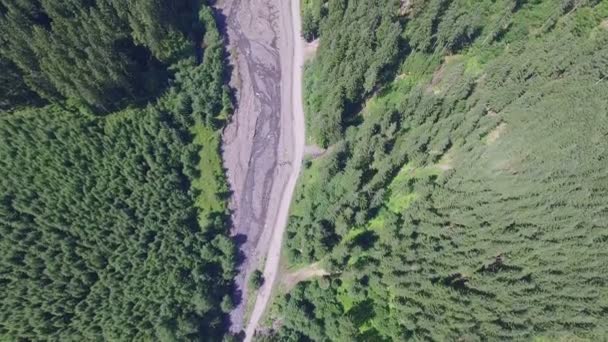 Estrada através da floresta. Ponto de vista — Vídeo de Stock