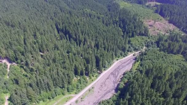 Luchtfoto van de weg en het bos — Stockvideo