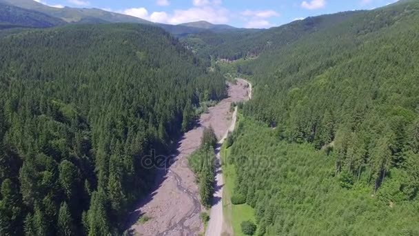Вид с дрона на дорогу и лес — стоковое видео