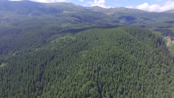 Красивый украинский лес. Вид с воздуха — стоковое видео