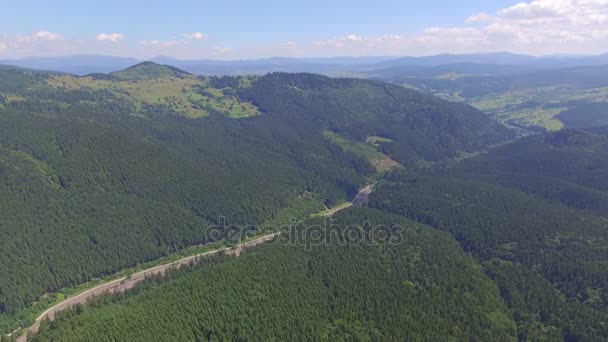 Des images aériennes. Forêt dans les montagnes. jour d'été — Video