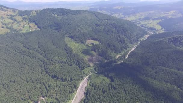 Bergen Bossen Zomerdag Video Van Drone — Stockvideo