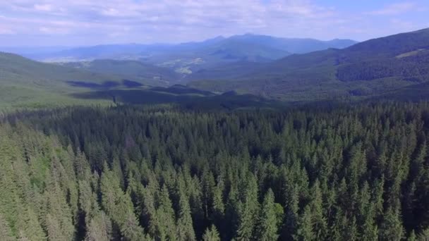 Beautiful Forest Mountains Summer Day Drone Flight — Stock Video