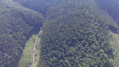 Ukrayna'nın el değmemiş doğası. Uçak video
