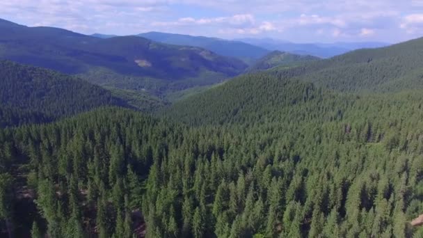 Wunderschöne Berge Den Karpaten Luftaufnahmen — Stockvideo