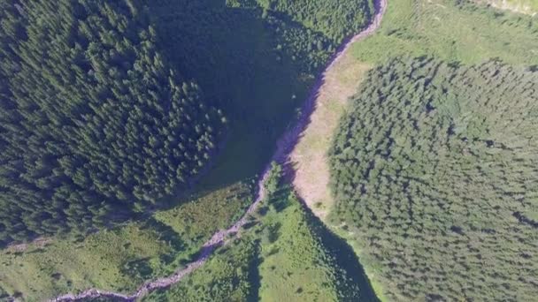 Vida Selvagem Ucrânia Imagens Aéreas — Vídeo de Stock