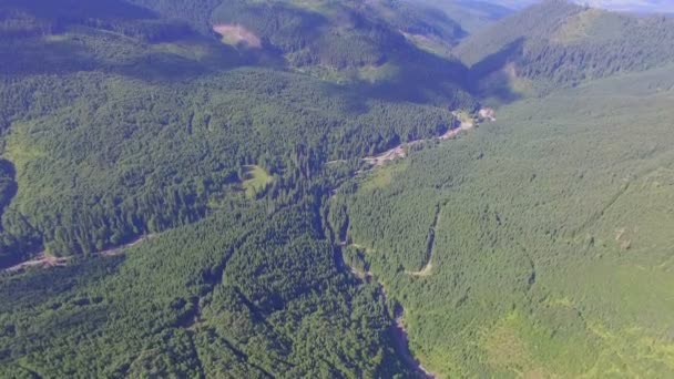 Hermoso Bosque Oeste Ucrania Imágenes Aéreas — Vídeos de Stock