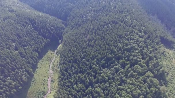Naturaleza intacta de Ucrania. Video de drone — Vídeos de Stock