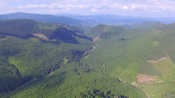 Panoramatický pohled na les v horách. letecké záběry — Stock video