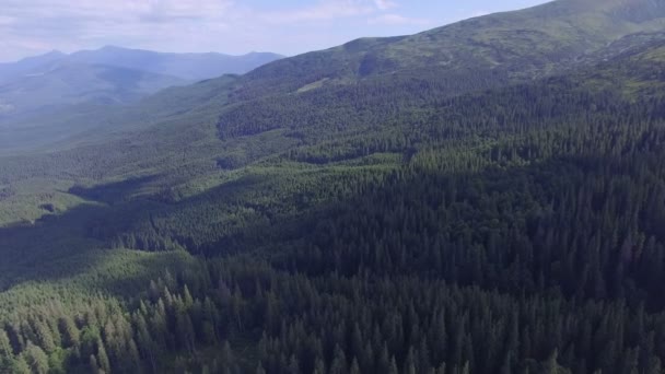 Une vue panoramique magnifique sur la forêt dans les montagnes avec drone — Video