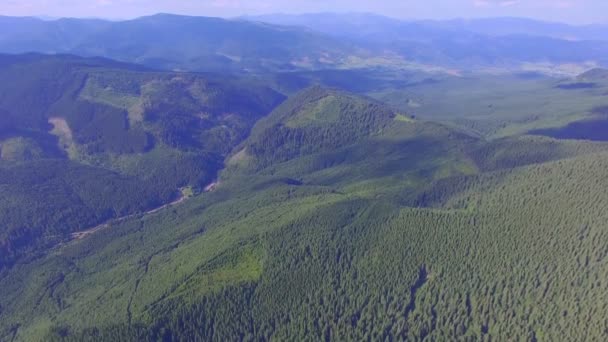 Plan aérien de la forêt dans les montagnes — Video