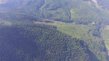 Karpat Dağları'nda orman manzara. Havadan görünümü