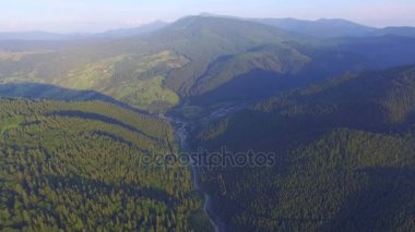 günbatımı güzel yeşil ormanın içinde. Havadan görünümü