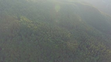 bir güzel güneşli bir günde Ukrayna Karpatlar. Havadan görünümü