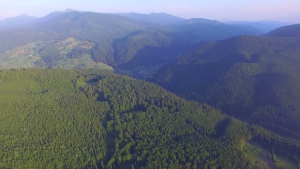 Berge, die mit Wald bedeckt sind. Drohnenflug — Stockvideo
