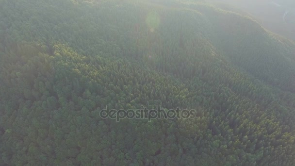 Un hermoso día soleado en los Cárpatos Ucranianos. vista aérea — Vídeos de Stock