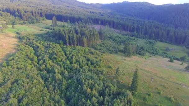Політ над прекрасним лісом в горах на заході сонця — стокове відео