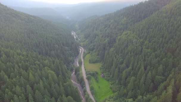 La route dans la forêt de montagne brumeuse. vue aérienne — Video