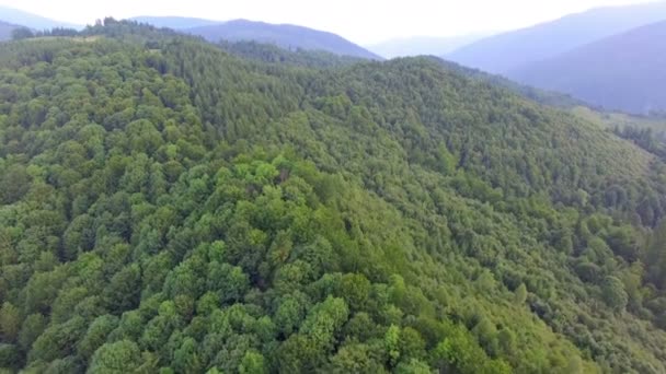 Montañas cubiertas de bosque verde. imágenes aéreas — Vídeo de stock