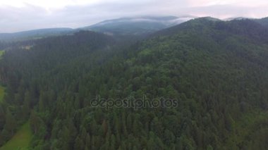 bulutlu hava ormanda üzerinde uçan uçak