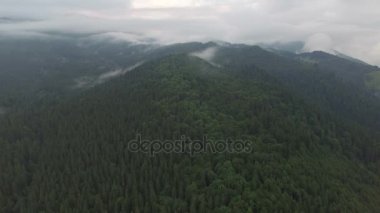 bulutlar dağ orman yukarıda. Havadan görünümü