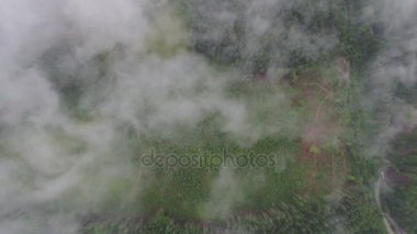 bulutlar ormanın içinde. havadan görüntüleri