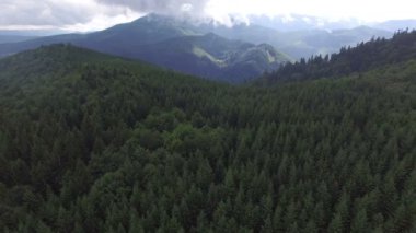 Bir dağ sırtı orman. Hava ateş