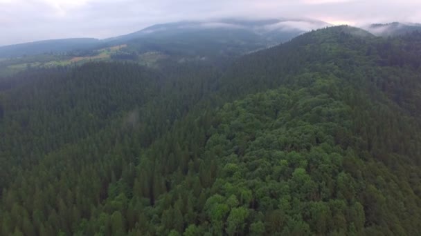 Clouds over mountain forest. aerial view — Stock Video