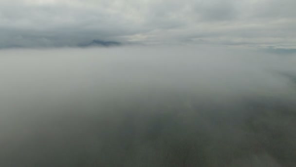 Hermosa niebla. vista aérea — Vídeos de Stock