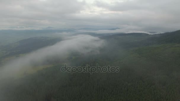 Penerbangan yang indah di atas gunung-gunung dalam kabut — Stok Video