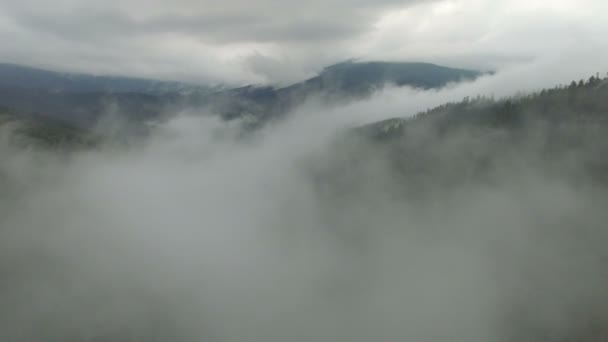 Beautiful aerial view. flying in fog — Stock Video