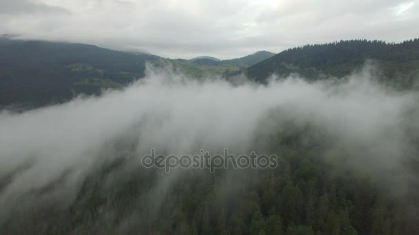 Туман в горах. аэрофотосъемка — стоковое видео