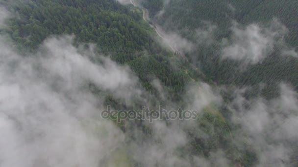 Niebla increíble y nubes sobre el bosque. imágenes aéreas — Vídeos de Stock