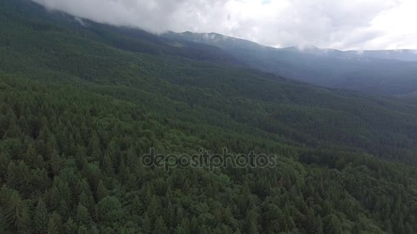 Disparo aéreo sobre un bosque de pinos cubierto de montañas — Vídeos de Stock