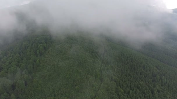 Voando nas nuvens — Vídeo de Stock