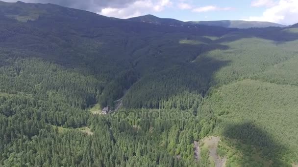 Aerial: mountains and forest — Stock Video