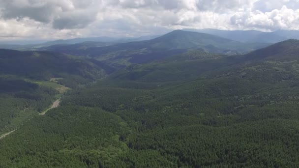 Drone Shot montanhas e floresta. dia de verão — Vídeo de Stock