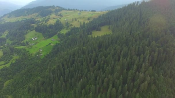 Політ над горою, покритою лісом — стокове відео