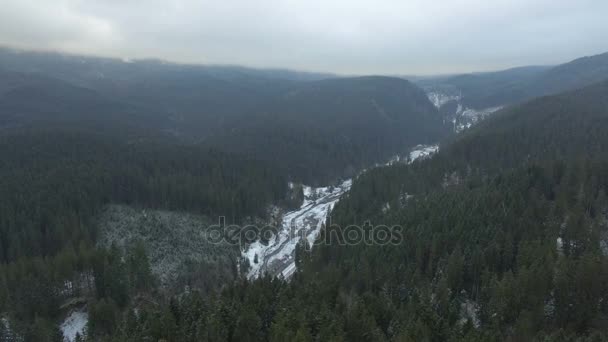 Přelet zeleného lesa v horách — Stock video