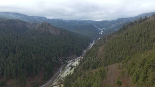 Volando en las montañas sobre el bosque de pinos 02 — Vídeo de stock