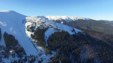 dağlar ve güneşli gün 01 kışın ormanda üzerinde uçan