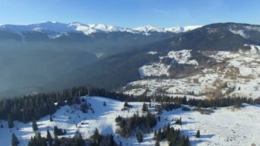 güneşli bir kış dağlarda orman üzerinde uçan