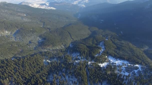 survolant la forêt en hiver. journée ensoleillée 