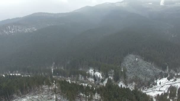 05 曇りの日に冬の山の森上空 — ストック動画