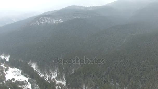 Vliegen over het bos in de bergen in de winter op een bewolkte dag 03 — Stockvideo