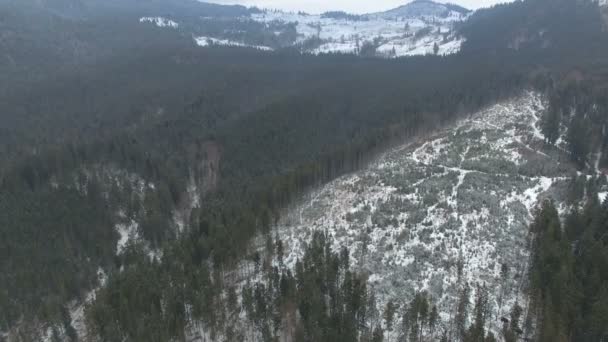 Літати над лісом в горах взимку в похмурий день 04 — стокове відео